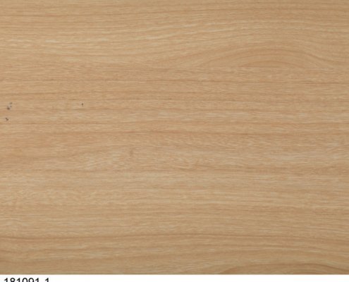 Surface Decor melamine sheets suppliers
