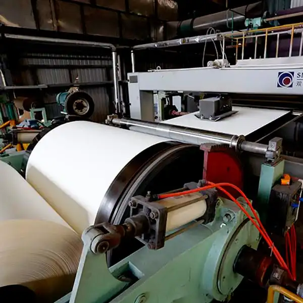 Raw Based Paper Production