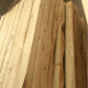 Cypress Coffin